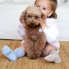 Barefoot crew socks Junior_Mini (2) MURIS NOGAVICE JUNIOR 3X MIX