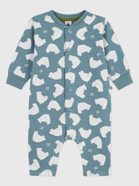 PAJAC POLARNI MEDVEDKI