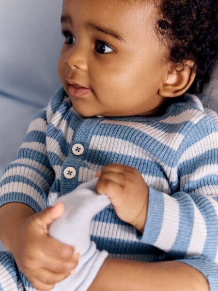 VOLNE PAJAC MODRE ČRTE