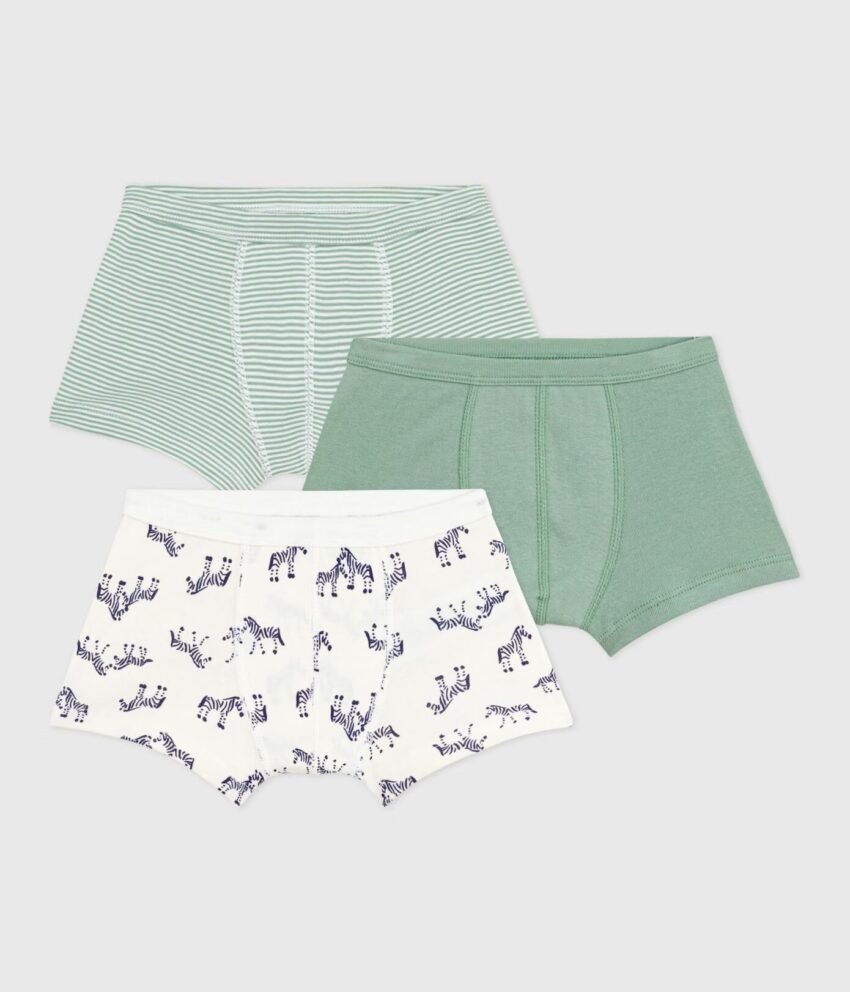 A0DYK00F1 BOKSARICE 3X ZEBRE